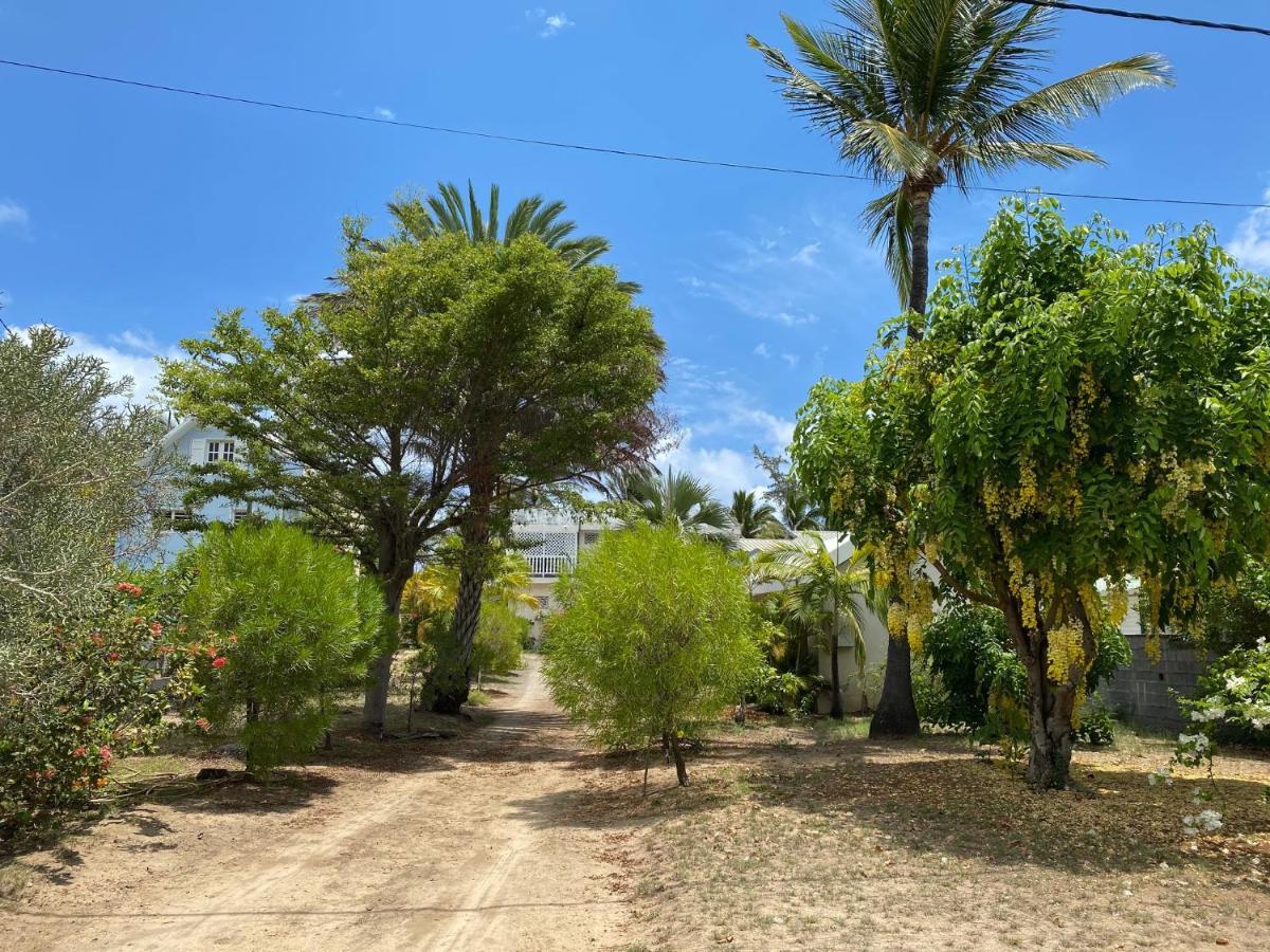 Villa & Bungalow 'Coco Des Sables' Les Pieds Dans L'Eau La Saline Le Bains Dış mekan fotoğraf